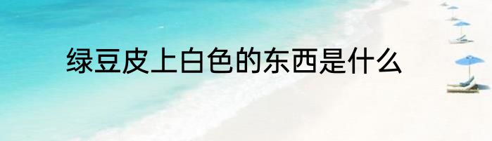 绿豆皮上白色的东西是什么