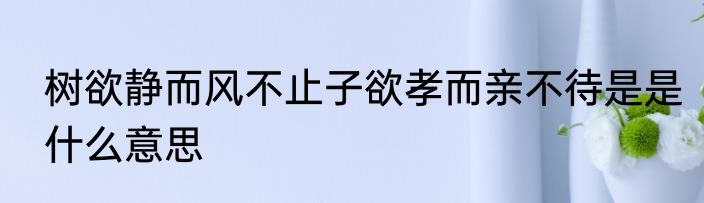 树欲静而风不止子欲孝而亲不待是是什么意思
