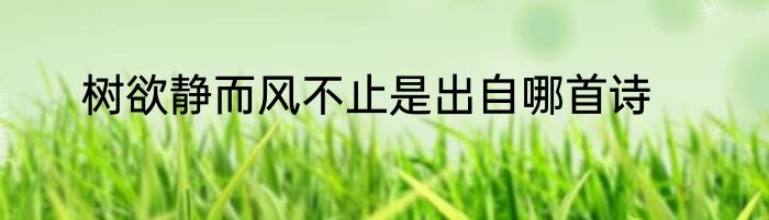 树欲静而风不止是出自哪首诗
