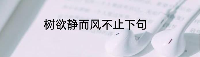 树欲静而风不止下句