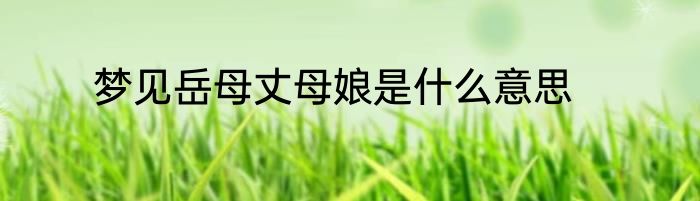 梦见岳母丈母娘是什么意思
