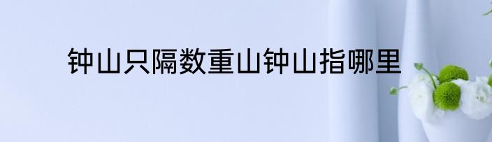 钟山只隔数重山钟山指哪里