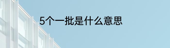 5个一批是什么意思