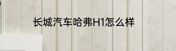 长城汽车哈弗H1怎么样