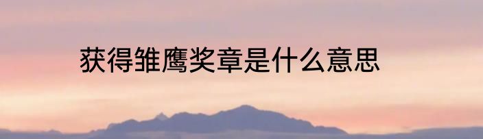 获得雏鹰奖章是什么意思