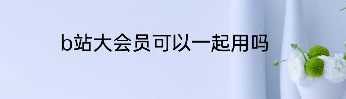 b站大会员可以一起用吗