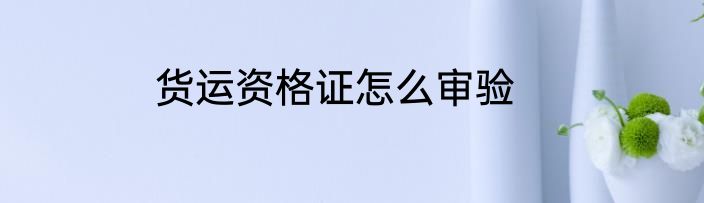 货运资格证怎么审验
