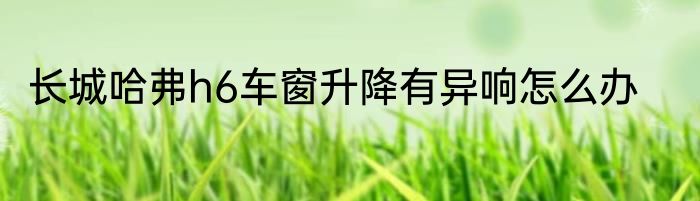 长城哈弗h6车窗升降有异响怎么办