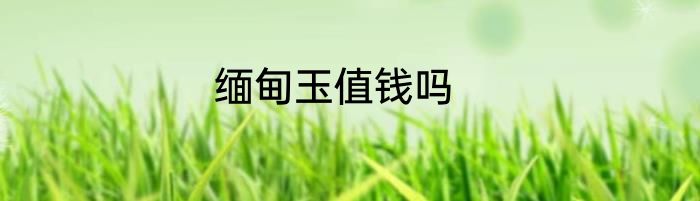 缅甸玉值钱吗
