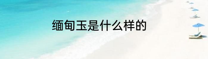 缅甸玉是什么样的