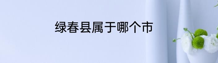 绿春县属于哪个市