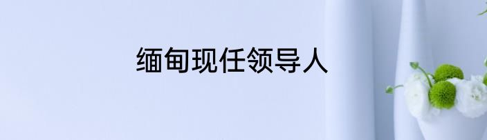 缅甸现任领导人