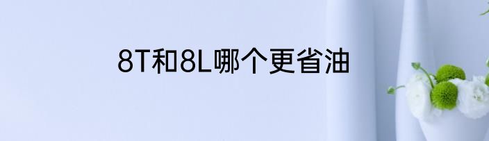 8T和8L哪个更省油