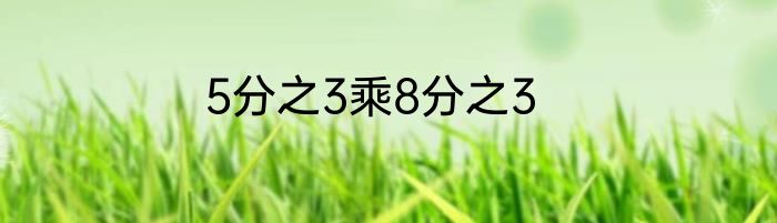 5分之3乘8分之3