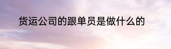 货运公司的跟单员是做什么的