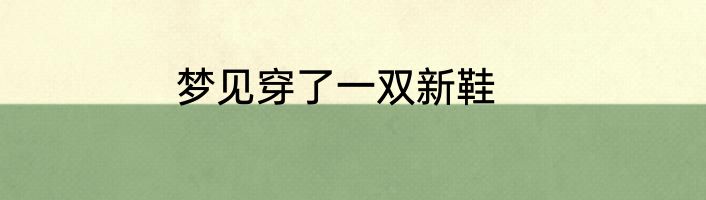 梦见穿了一双新鞋