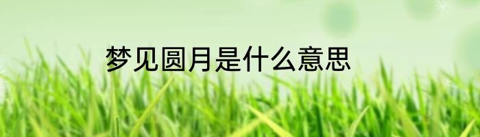 梦见圆月是什么意思