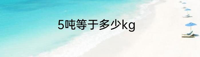 5吨等于多少kg