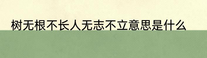 树无根不长人无志不立意思是什么