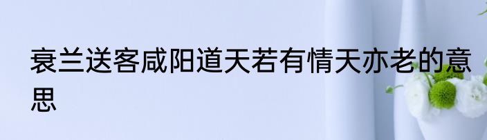 衰兰送客咸阳道天若有情天亦老的意思