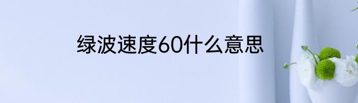 绿波速度60什么意思