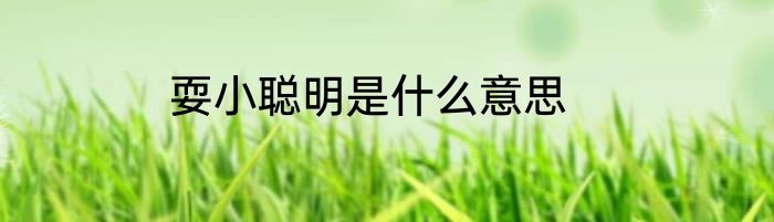 耍小聪明是什么意思