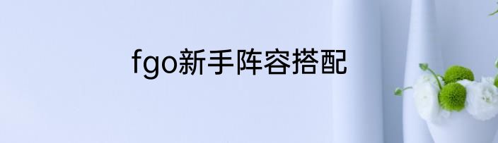fgo新手阵容搭配