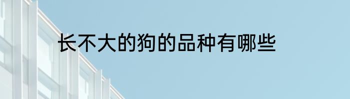 长不大的狗的品种有哪些