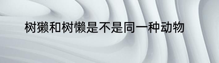 树獭和树懒是不是同一种动物
