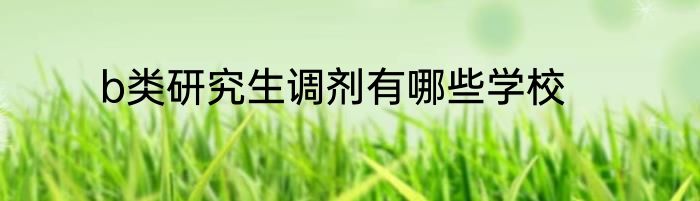 b类研究生调剂有哪些学校