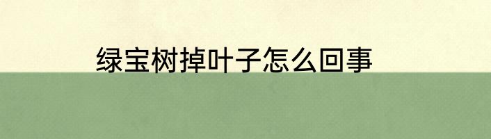 绿宝树掉叶子怎么回事