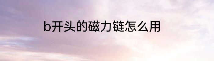 b开头的磁力链怎么用