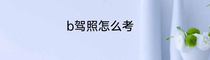 b驾照怎么考
