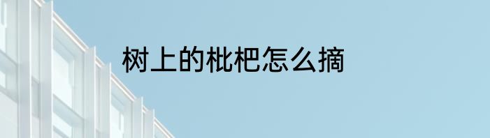 树上的枇杷怎么摘