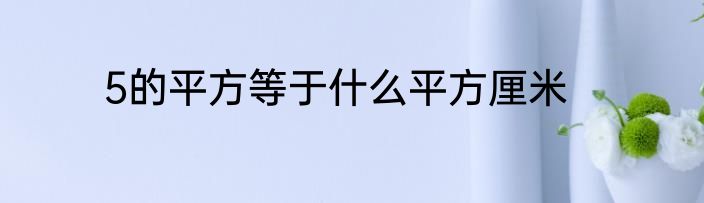 5的平方等于什么平方厘米