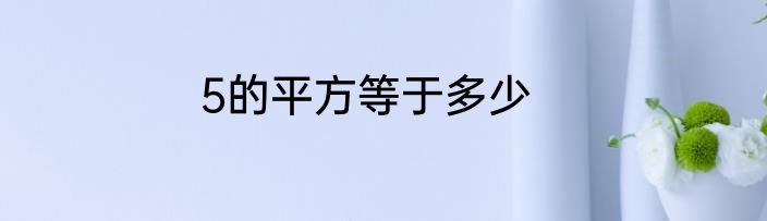 5的平方等于多少