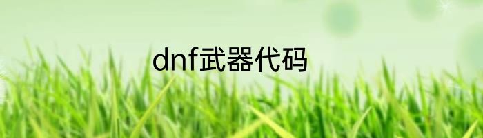 dnf武器代码