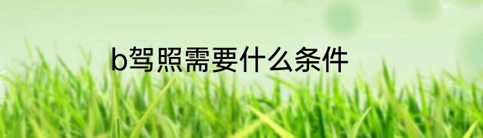 b驾照需要什么条件