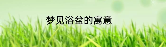 梦见浴盆的寓意