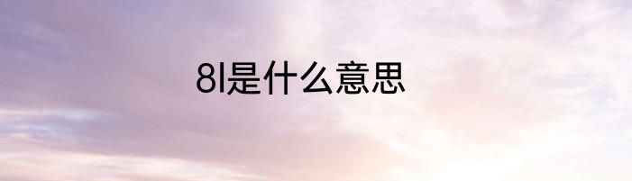 8l是什么意思