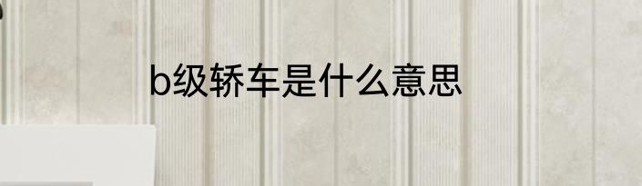 b级轿车是什么意思