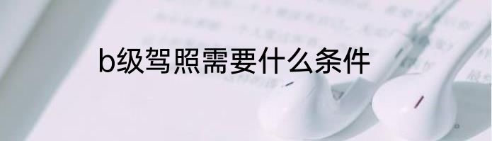 b级驾照需要什么条件