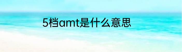 5档amt是什么意思
