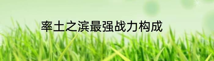 率土之滨最强战力构成