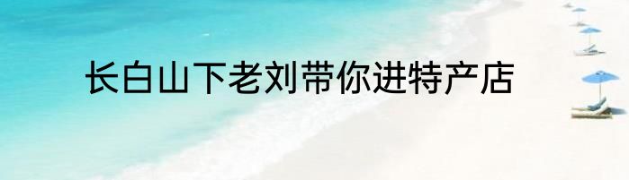 长白山下老刘带你进特产店