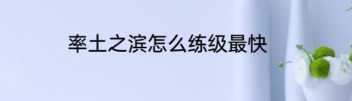 率土之滨怎么练级最快