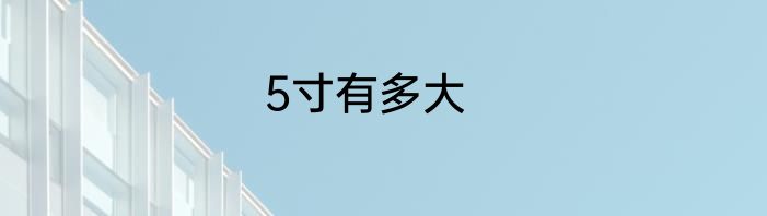 5寸有多大