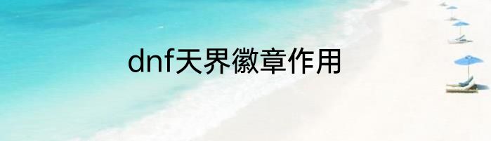 dnf天界徽章作用