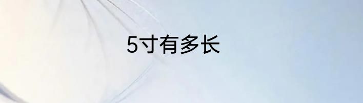 5寸有多长