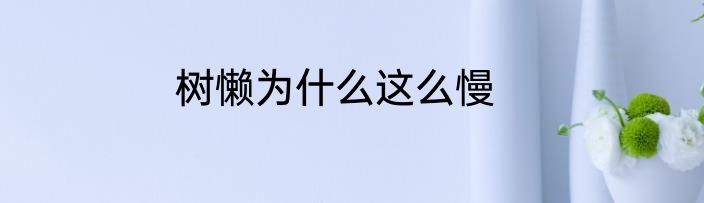 树懒为什么这么慢